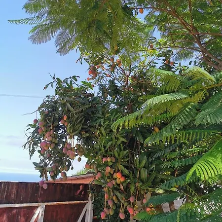 Casa Antonia Maison d'hôtes *