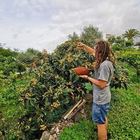 Maison d'hôtes Casa Antonia Icod De Los Vinos