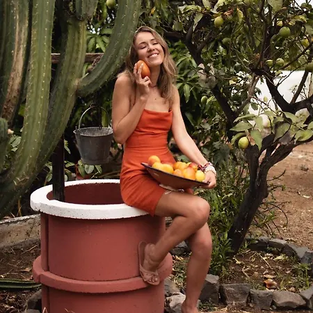 Casa Antonia Maison d'hôtes Icod De Los Vinos