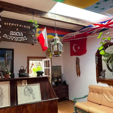 Casa Antonia Icod De Los Vinos