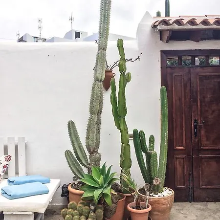 Casa Antonia Icod De Los Vinos